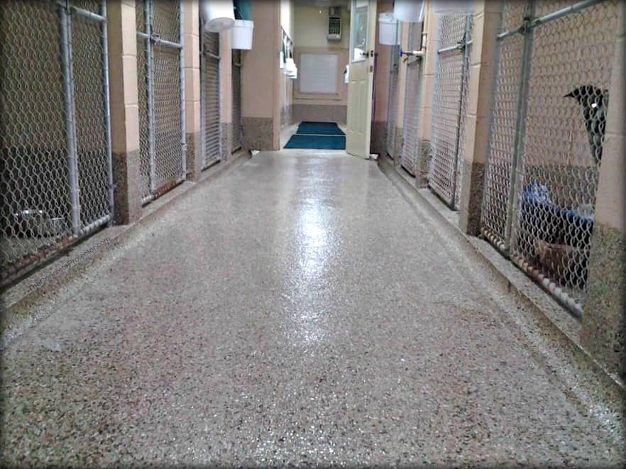 Animal facilities space floor coated with chip epoxy design